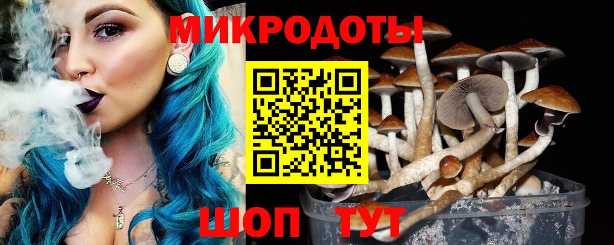Альметьевск  Псилоцибиновые грибы MAGIC MUSHROOMS  Вход с VPN 